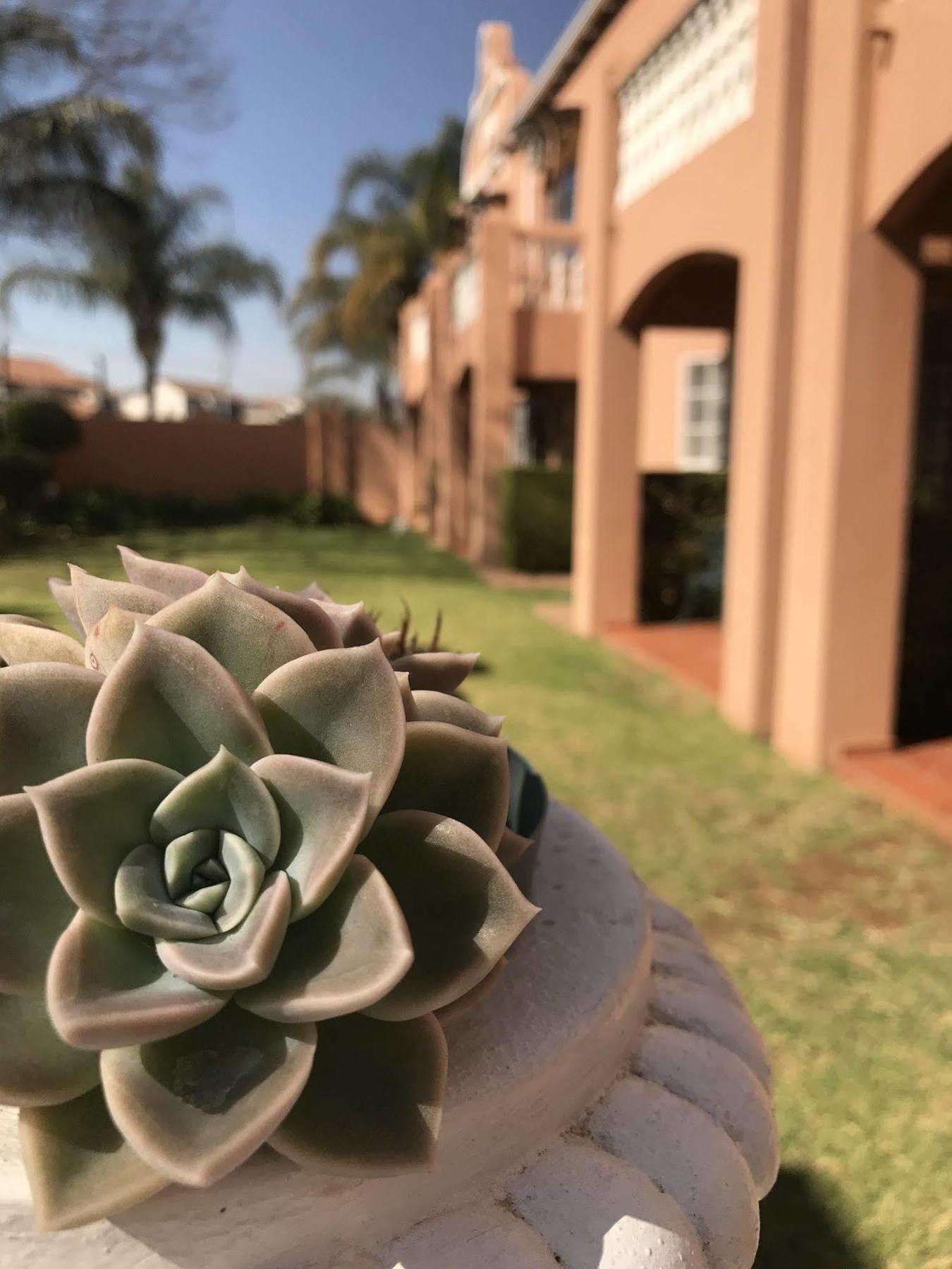 The Elegant Lodge Menlo Park Pretoria Exterior photo